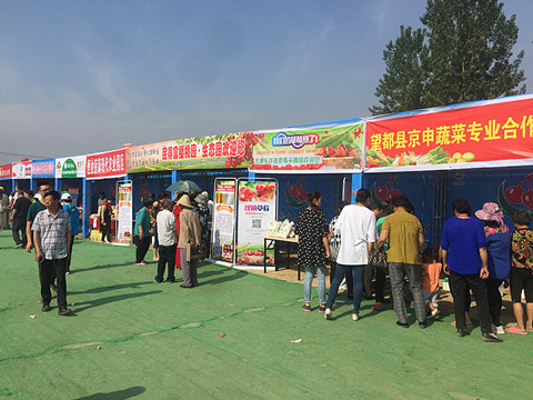 望都2017櫻桃文化旅游節(jié)暨農(nóng)副產(chǎn)品展銷會(huì)拉開帷幕，助力地方特色食品銷售
