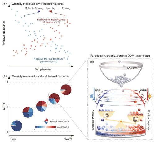 全球變化背景下有機碳環境響應力研究取得新進展——農業科學研究與試驗發展的前沿探索